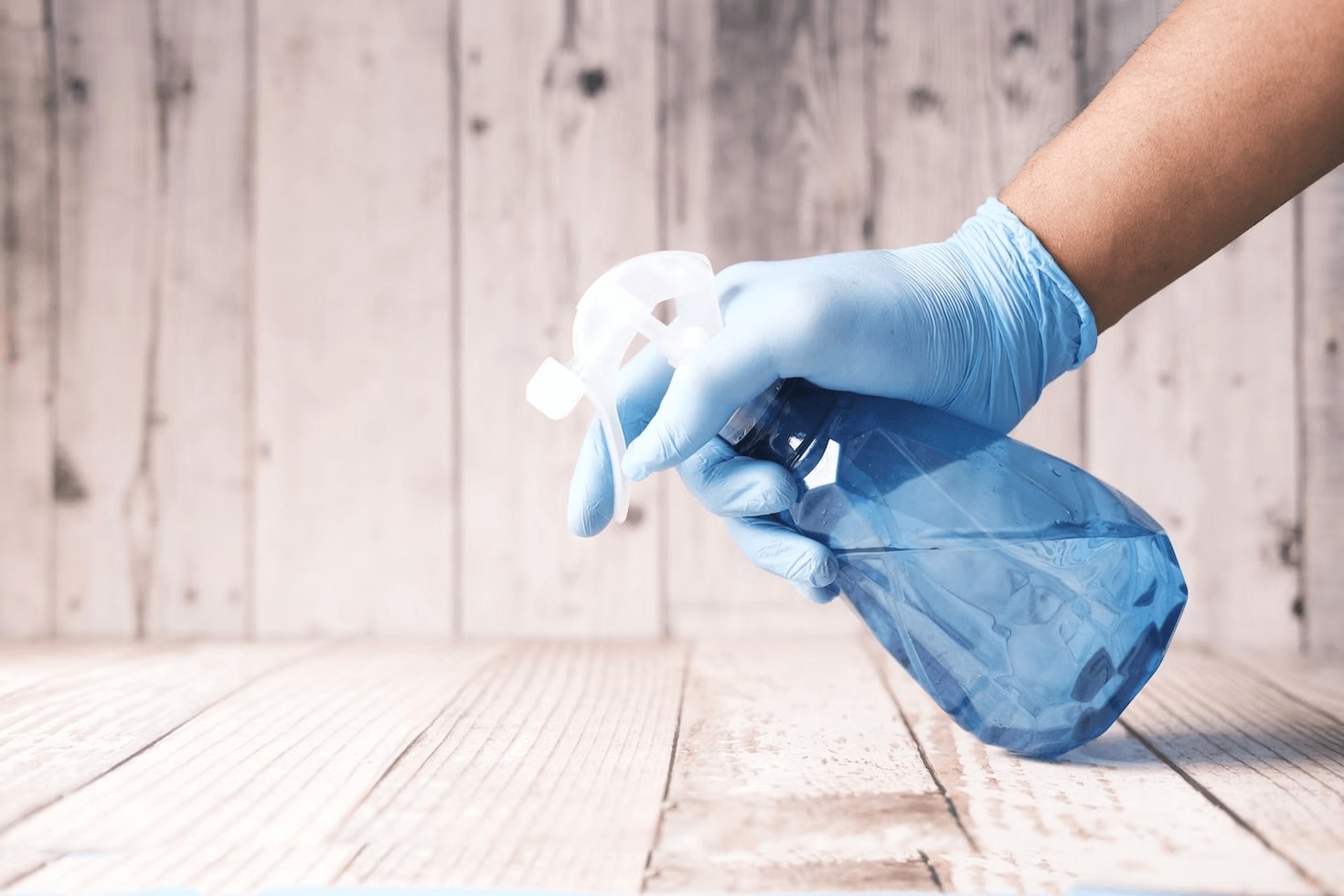 Choosing The Right Cleaning Company In Auckland: A Comprehensive Guide