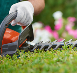 industrial cleaning equipment in auckland